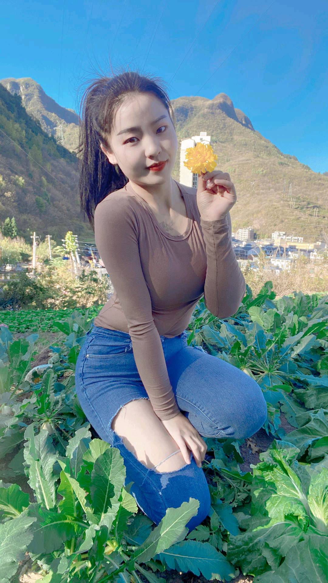 菜地里面的牛仔裤美女