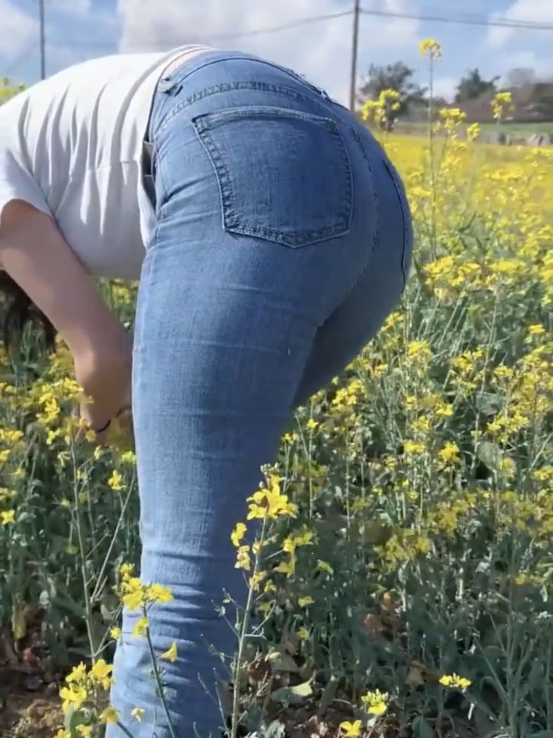 [视频]油菜地里的牛仔裤美女